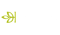 logo Ancestry