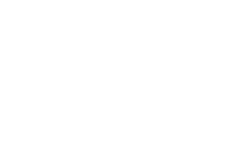 Carters logo