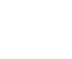 Dyson Canada logo