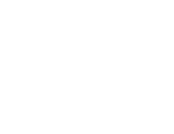 logo GLOBO Shoes